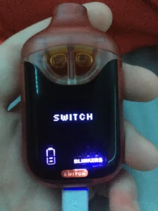 how to use boutiq switch v4